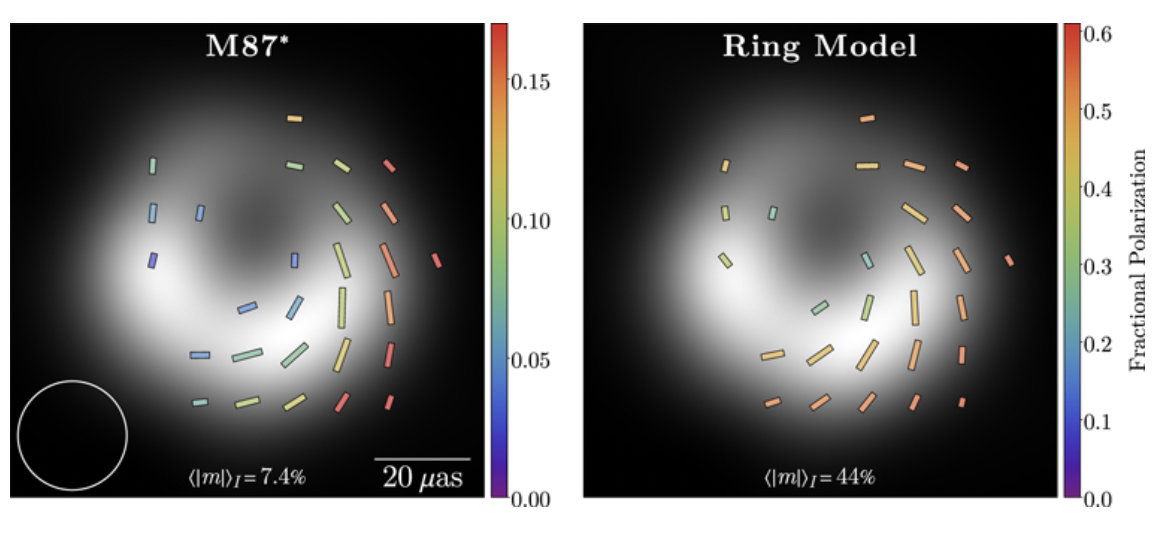 ring-model-comparison